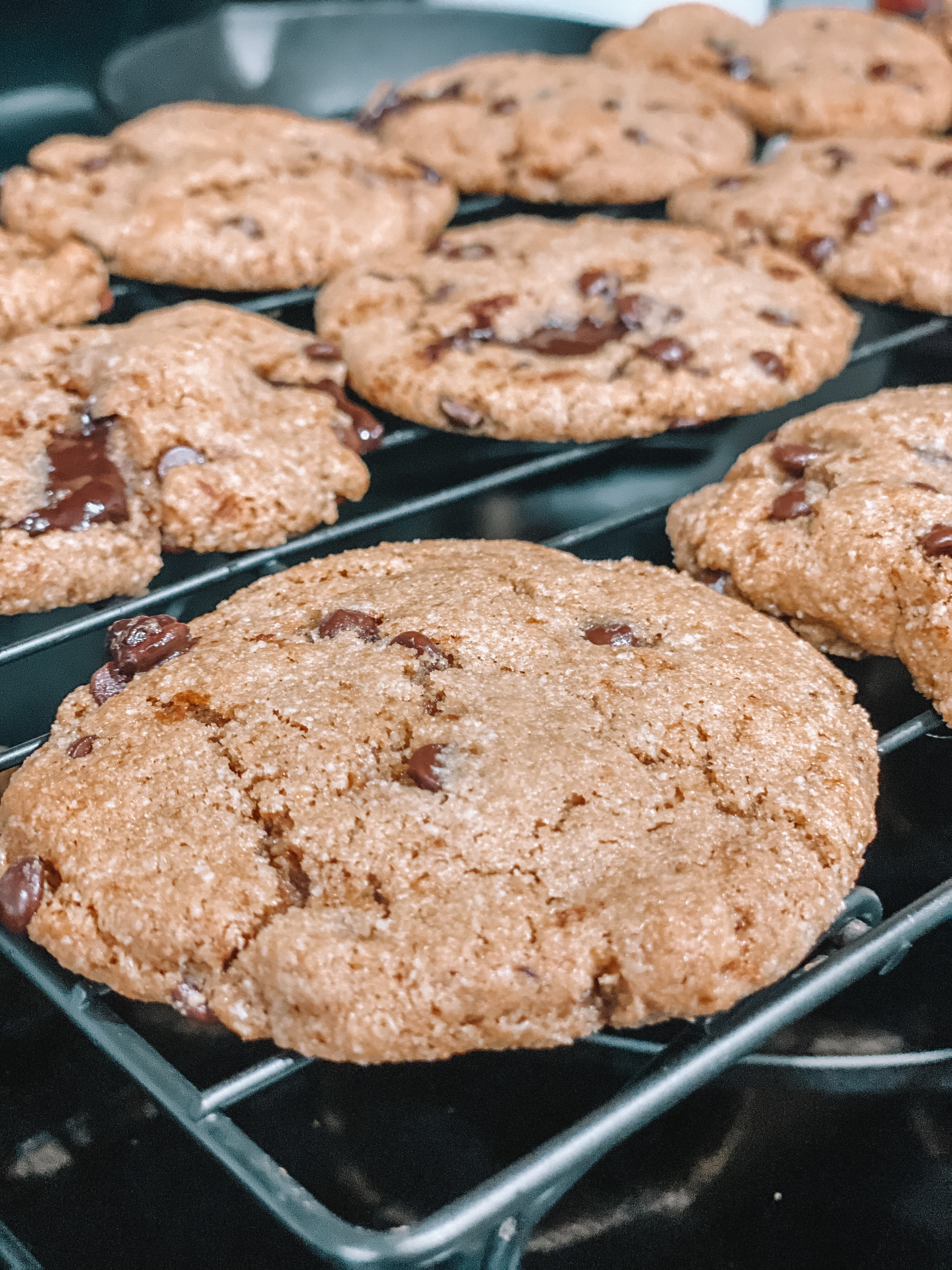 The Best Chocolate Chip Cookies