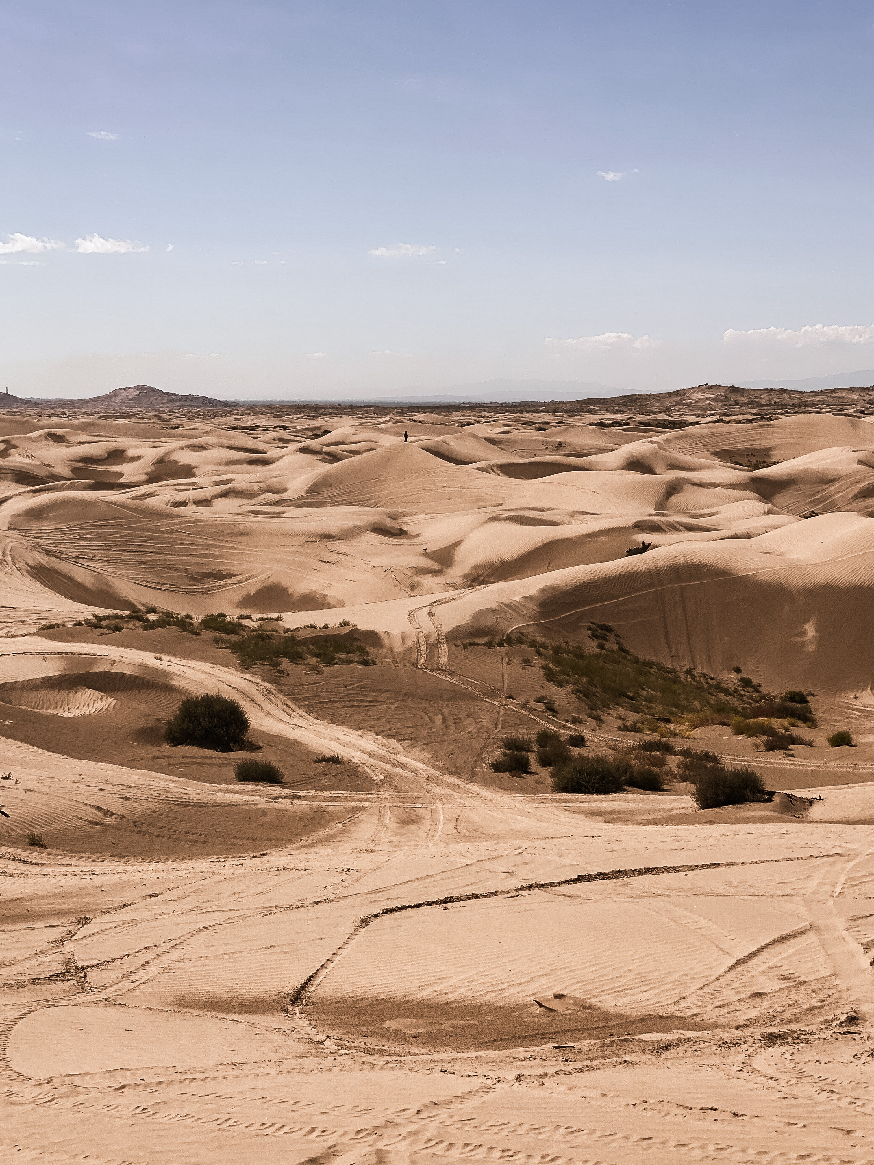 Little Sahara Sand Dunes