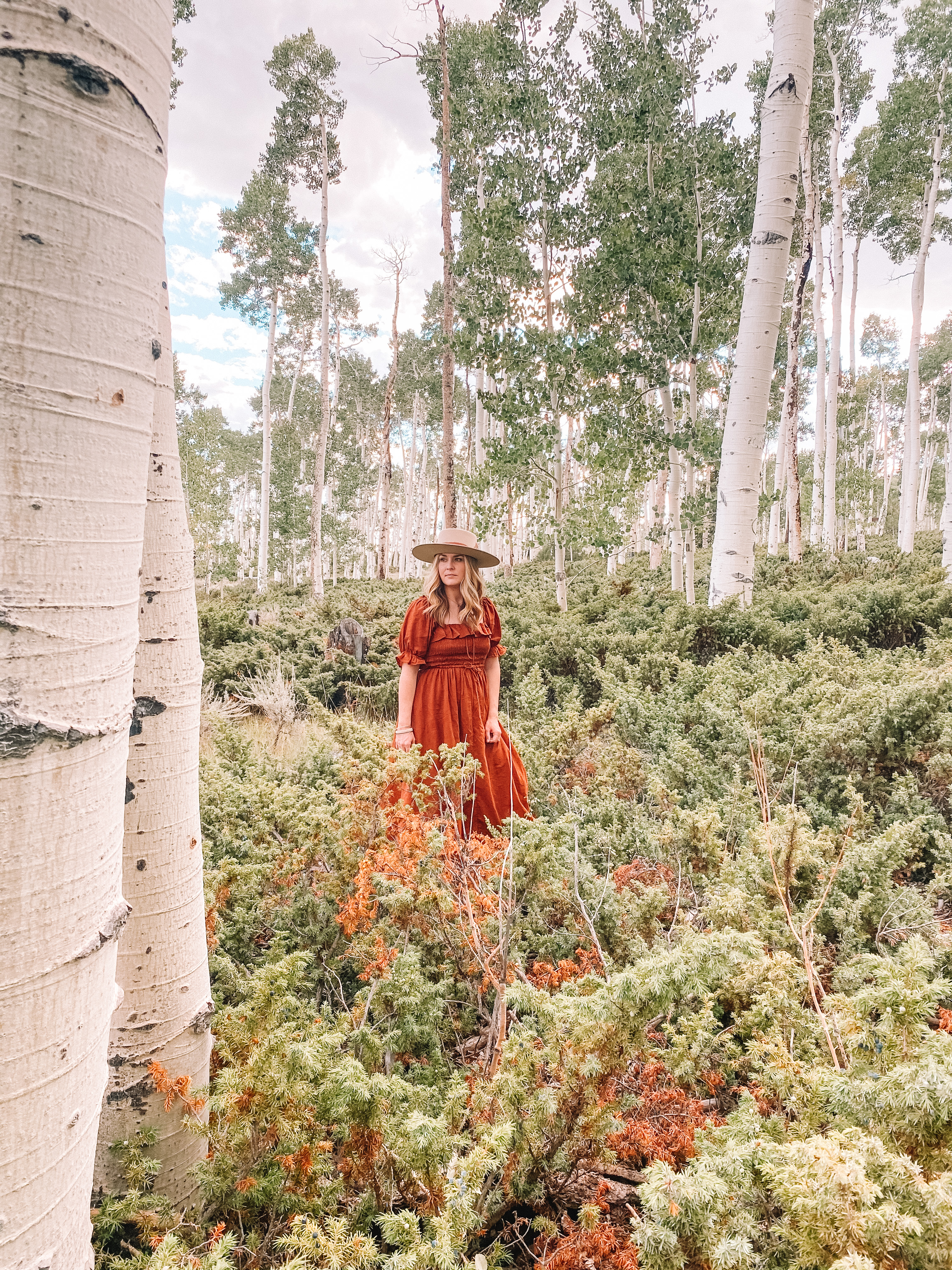 Exploring Pando