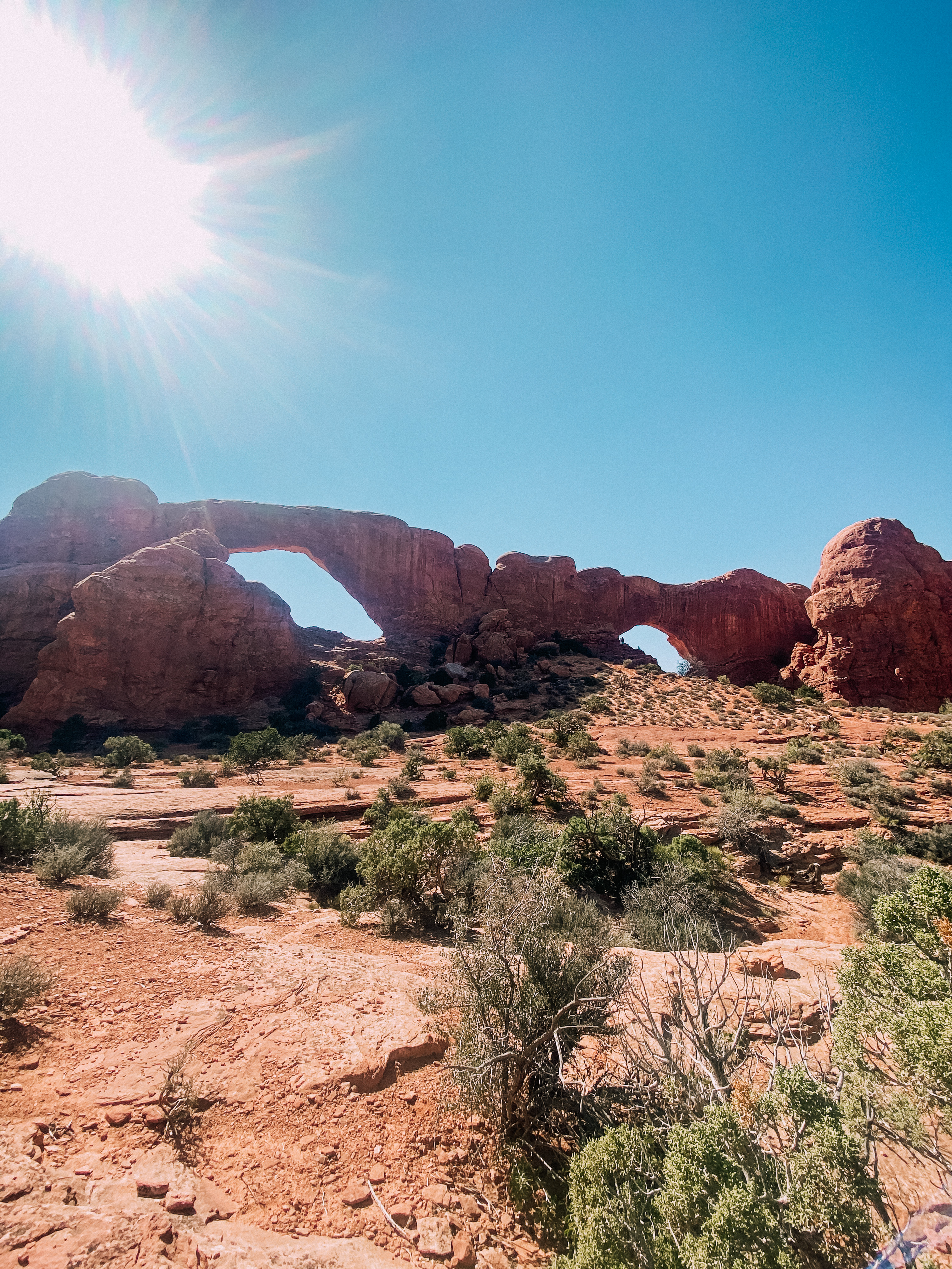 The Windows at Arches National Park