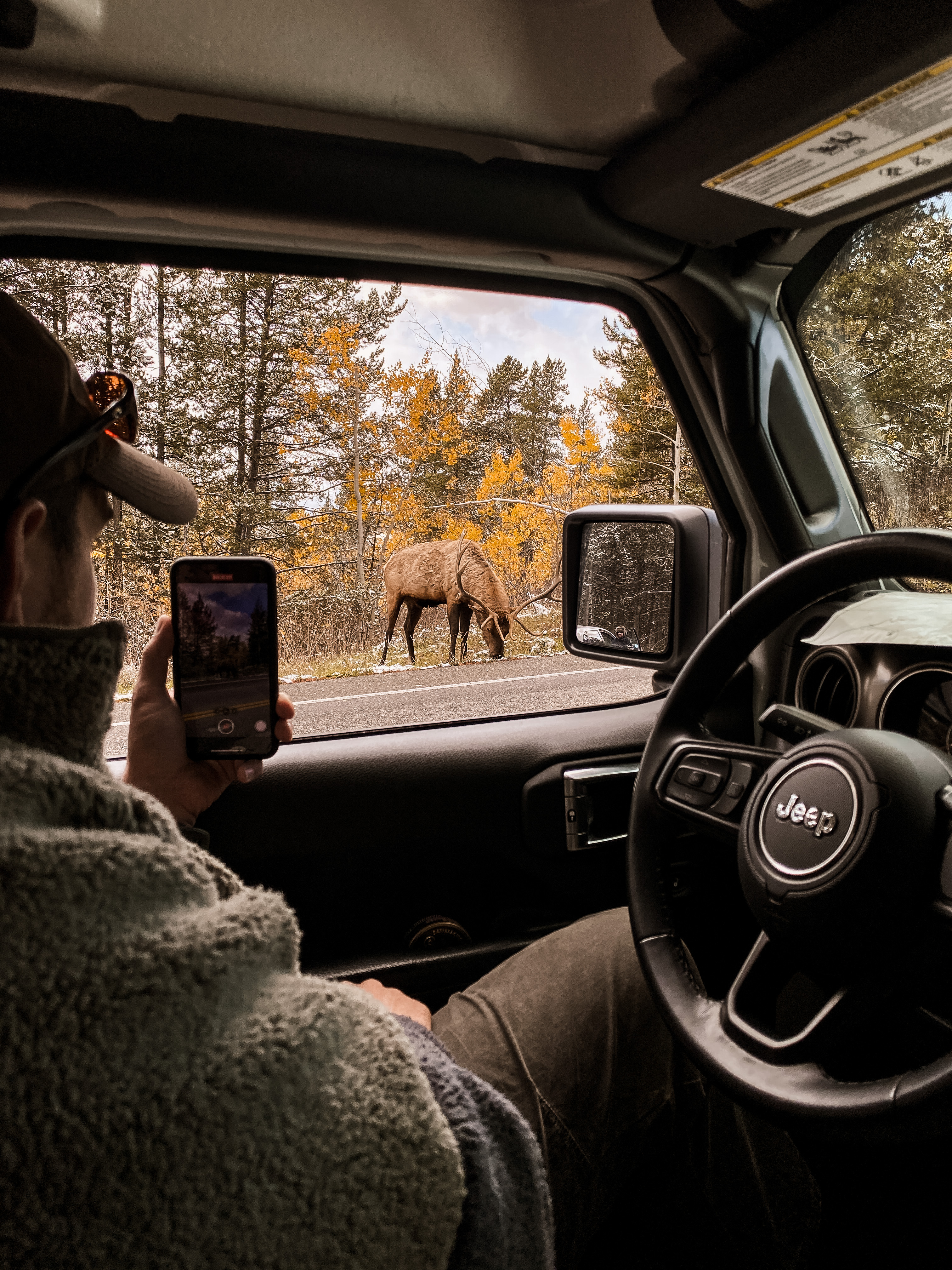 Seeing Elk in the Grand Tetons