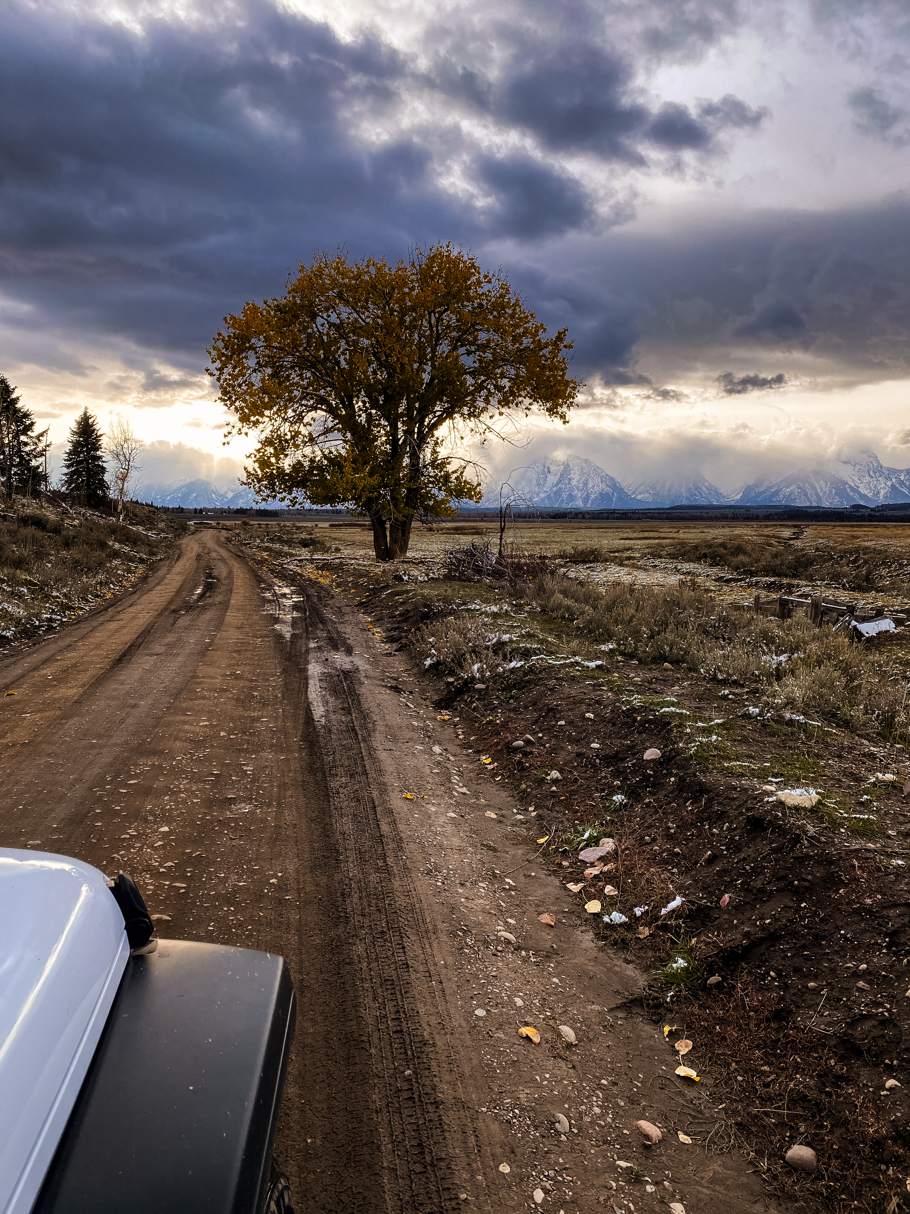 Grand Teton Views